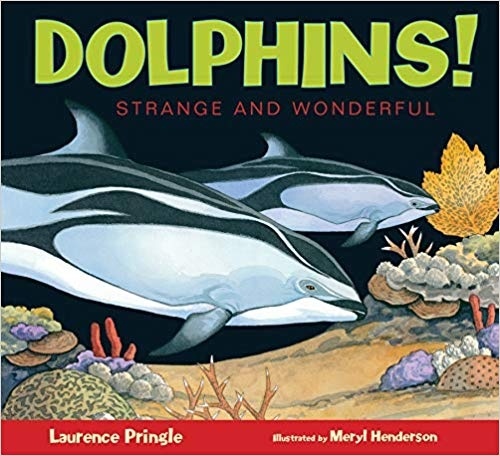 Dolphins! Strange and Wonderful