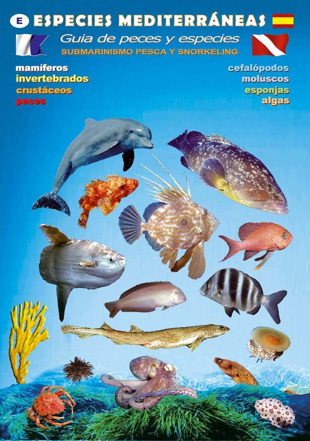 Desplegable especies mediterráneas. Guía de peces y especies 'Submarinismo, pesca y snorkeling'