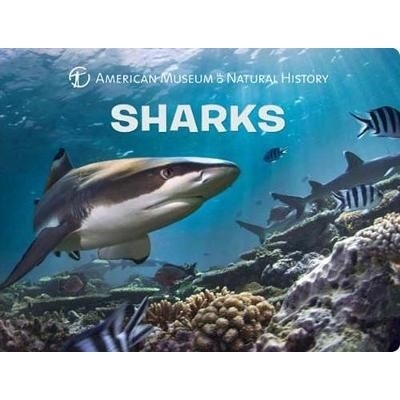 Sharks