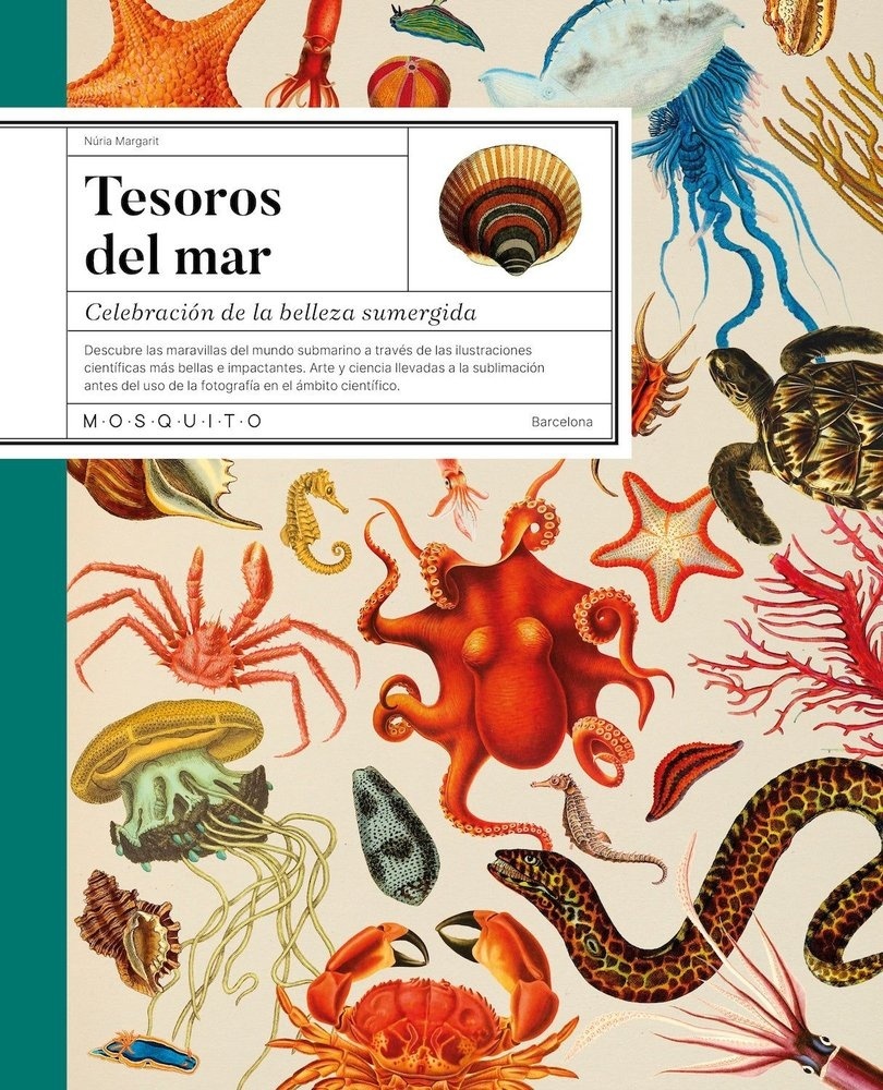 Tesoros del mar